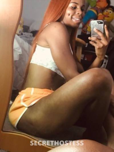 JamaicanQueen 29Yrs Old Escort South Jersey NJ Image - 9