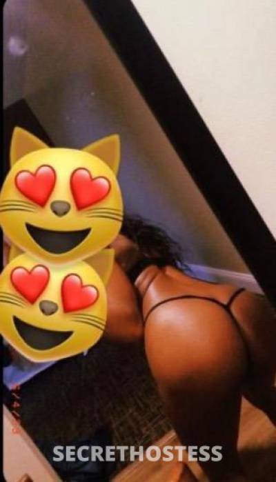 Layla 25Yrs Old Escort Toledo OH Image - 1