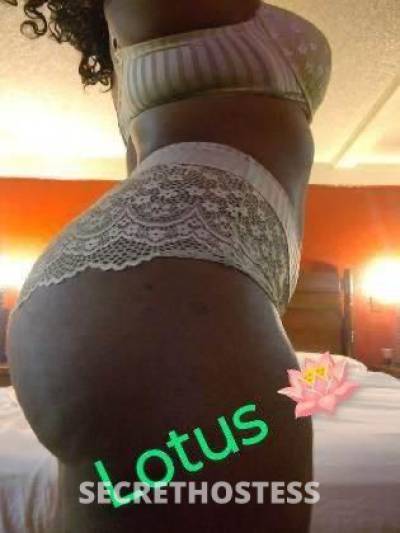 Lotus🪷 26Yrs Old Escort Eastern NC Image - 0