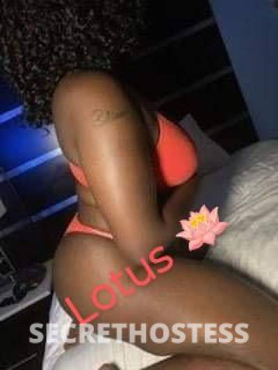 Lotus🪷 26Yrs Old Escort Eastern NC Image - 4