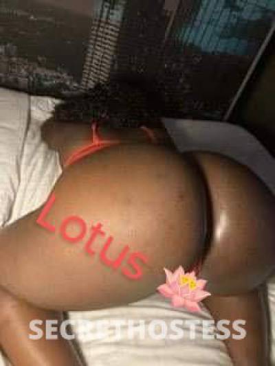 Lotus🪷 26Yrs Old Escort Eastern NC Image - 6