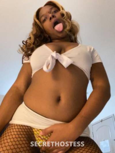 Mari 20Yrs Old Escort Bakersfield CA Image - 6