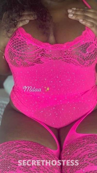 Milaa 27Yrs Old Escort San Jose CA Image - 4