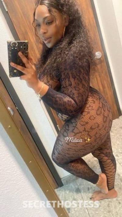 Milaa 27Yrs Old Escort San Jose CA Image - 5