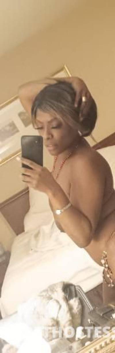 Suger 26Yrs Old Escort Concord CA Image - 0