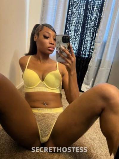 kat 24Yrs Old Escort Saint Louis MO Image - 0