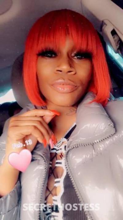 29 year old Escort in Springfield IL ?coconutRay