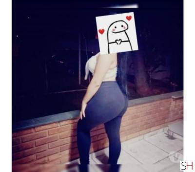 20 year old White Escort in Sorocaba Sao Paulo ❤️ Alice Costa