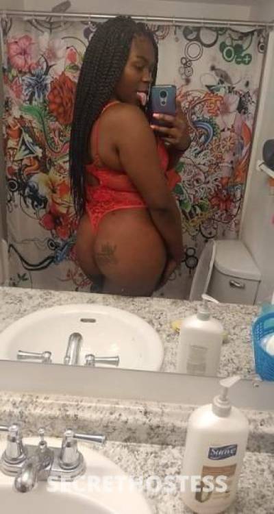 24Yrs Old Escort Tampa FL Image - 1