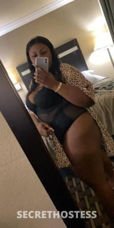 25Yrs Old Escort Tampa FL Image - 1