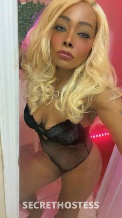 A.Lexx 32Yrs Old Escort Westchester NY Image - 5