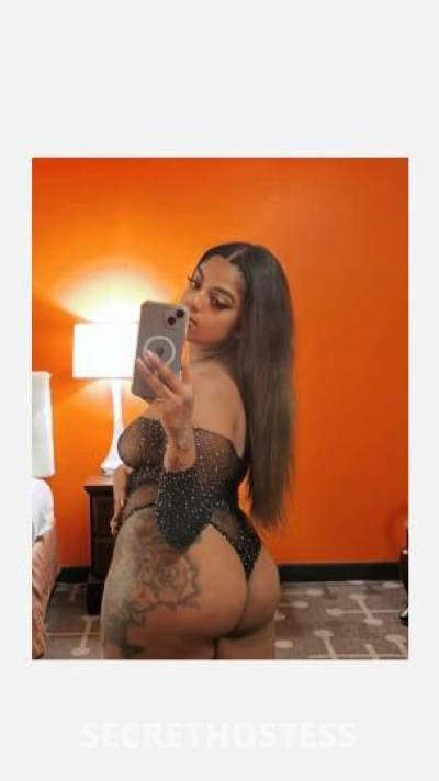 CECE 21Yrs Old Escort Washington DC Image - 4