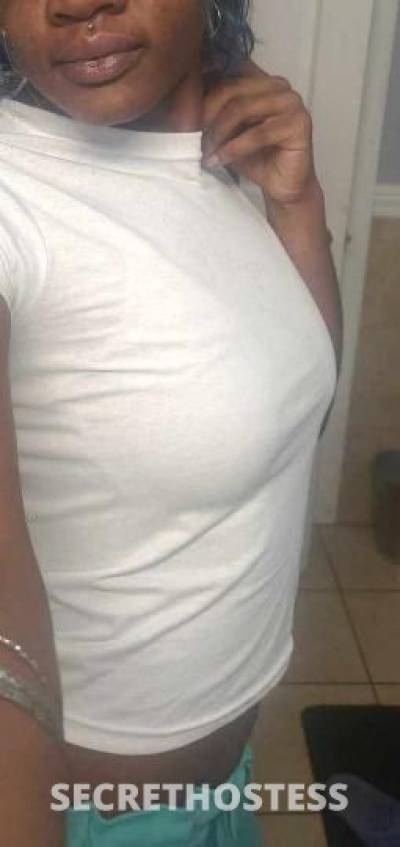 Coco 25Yrs Old Escort Hudson Valley NY Image - 1