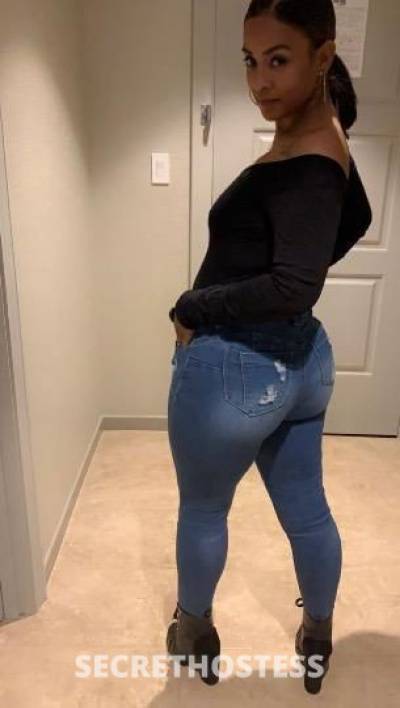 Cynthia 24Yrs Old Escort South Jersey NJ Image - 7