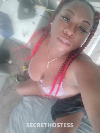 Hershey 29Yrs Old Escort Appleton WI Image - 0