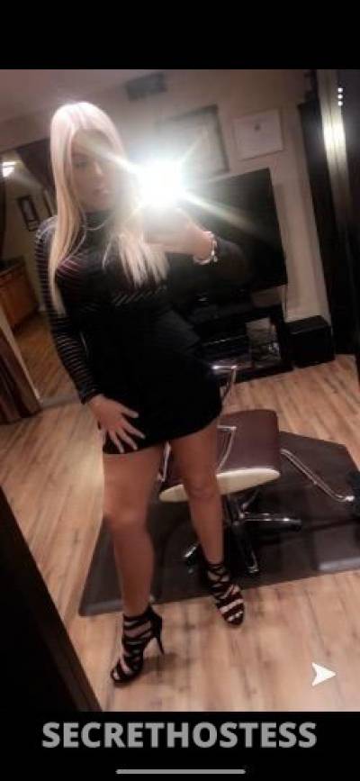 Lexi 25Yrs Old Escort Tampa FL Image - 5