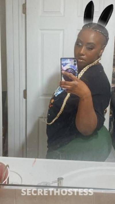 Miss5StarKitty 30Yrs Old Escort Queens NY Image - 0