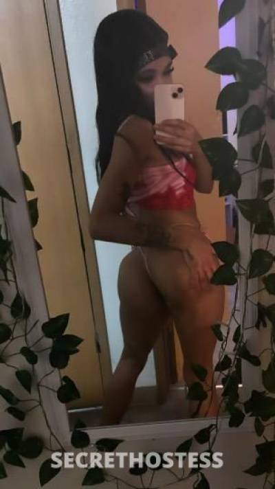 Nunu 22Yrs Old Escort Oakland CA Image - 3