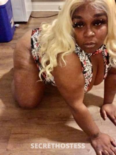 Stormy 31Yrs Old Escort Ft Wayne IN Image - 0