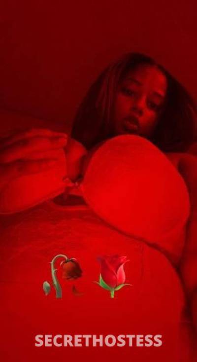 Tia 25Yrs Old Escort Wichita KS Image - 1