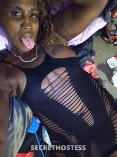 💯party✅freaky💋 ebony ❤ stallion in Treasure Coast FL