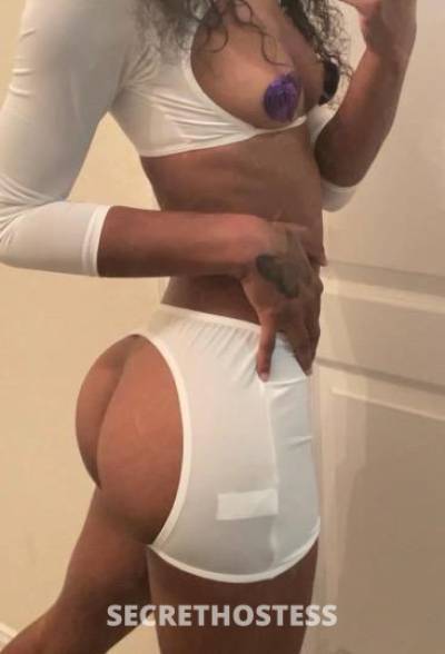 21Yrs Old Escort 157CM Tall Houston TX Image - 0