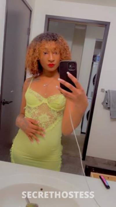 22Yrs Old Escort Cincinnati OH Image - 2