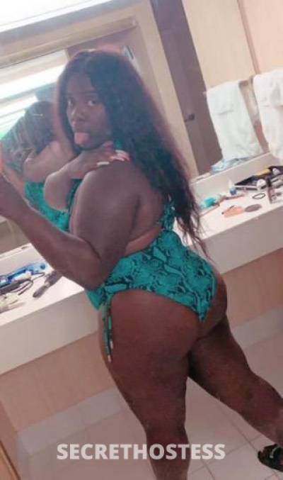 24Yrs Old Escort Dallas TX Image - 2