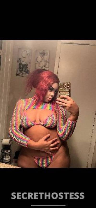 25Yrs Old Escort Dallas TX Image - 2