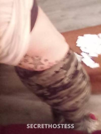 27Yrs Old Escort Toledo OH Image - 0