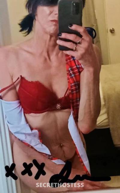 42Yrs Old Escort Size 6 162CM Tall Perth Image - 13