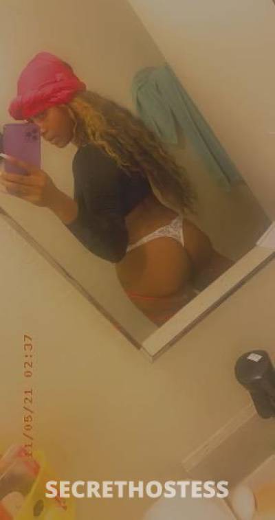 Ashley 21Yrs Old Escort Honolulu HI Image - 5