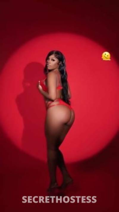 Ashley 25Yrs Old Escort San Buenaventura CA Image - 3