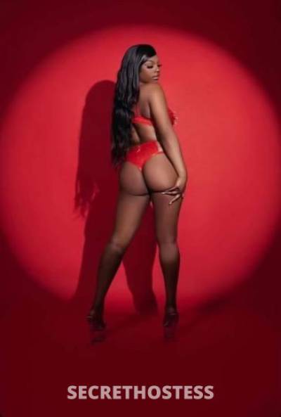 Ashley 25Yrs Old Escort San Buenaventura CA Image - 4