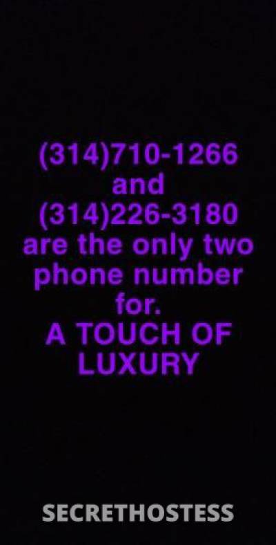 A TOUCH OF LUXURY is located downtown St. Louis in Saint Louis MO