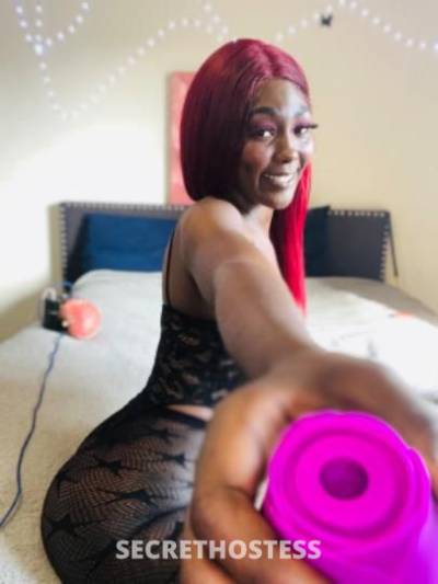 Barbie 25Yrs Old Escort New Orleans LA Image - 3