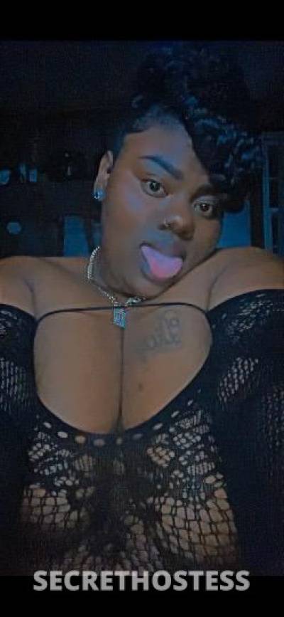 Braceface 27Yrs Old Escort Winston-Salem NC Image - 6