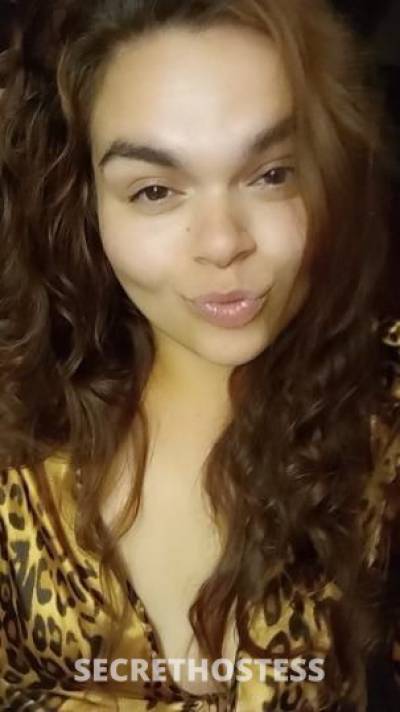 BrittBratt 23Yrs Old Escort Fort Smith AR Image - 5