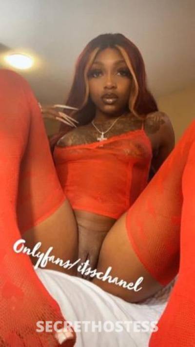 Chanel 26Yrs Old Escort 160CM Tall North Mississippi MS Image - 2
