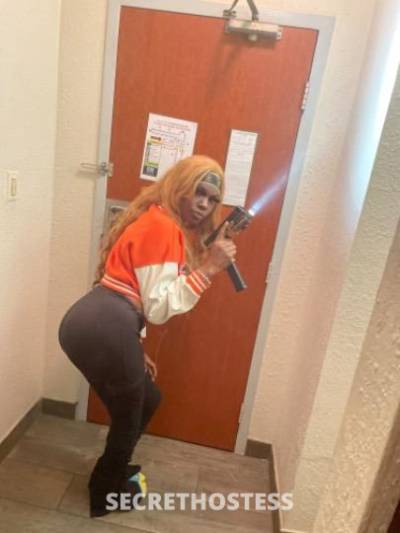 Chocolateslut 22Yrs Old Escort Lansing MI Image - 6