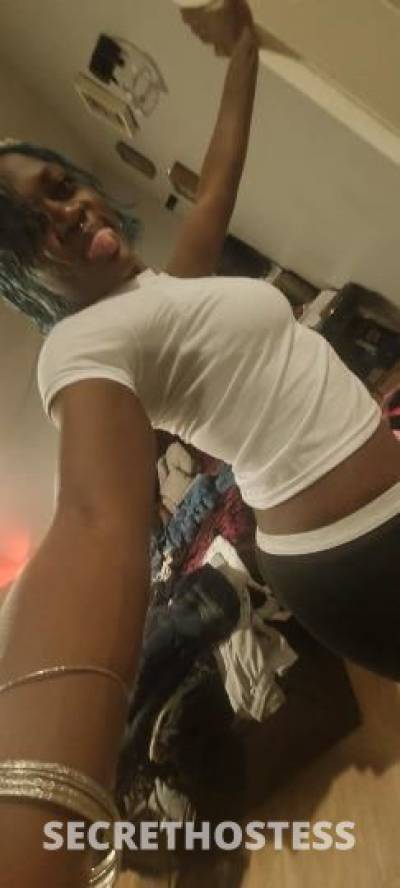 Coco 25Yrs Old Escort Hudson Valley NY Image - 0