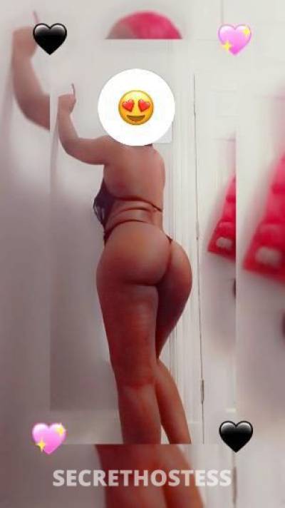 Coco 25Yrs Old Escort Westchester NY Image - 0