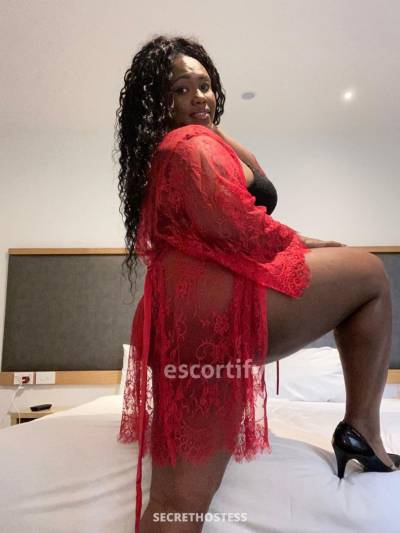 Diana 28Yrs Old Escort Hamilton Image - 1