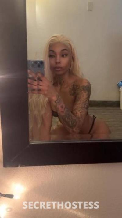 Dream 23Yrs Old Escort Kansas City MO Image - 3