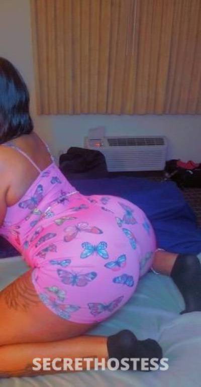 Honey 28Yrs Old Escort Charleston SC Image - 8