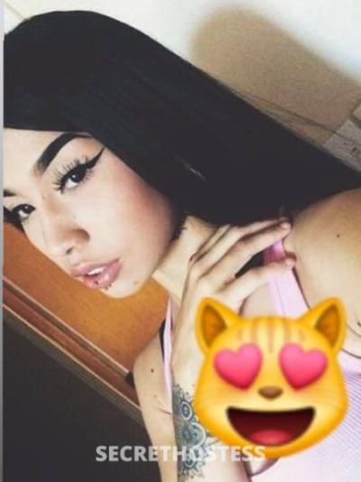Jenny 21Yrs Old Escort Reno NV Image - 1