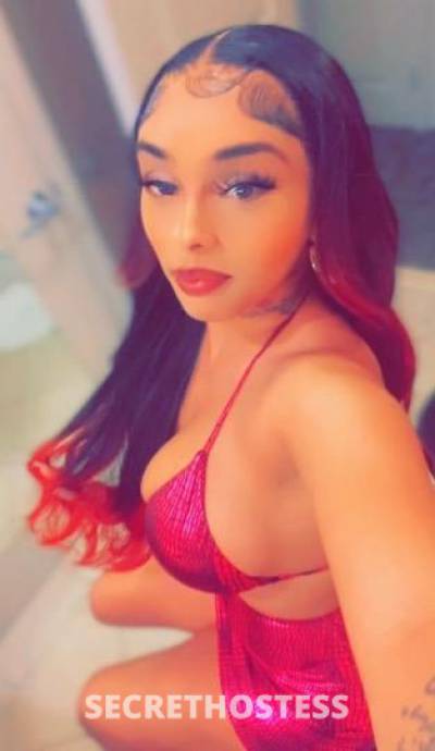 Karla 22Yrs Old Escort Oakland CA Image - 4