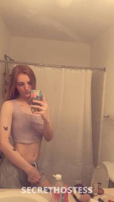 KittyCat 21Yrs Old Escort Columbus OH Image - 2