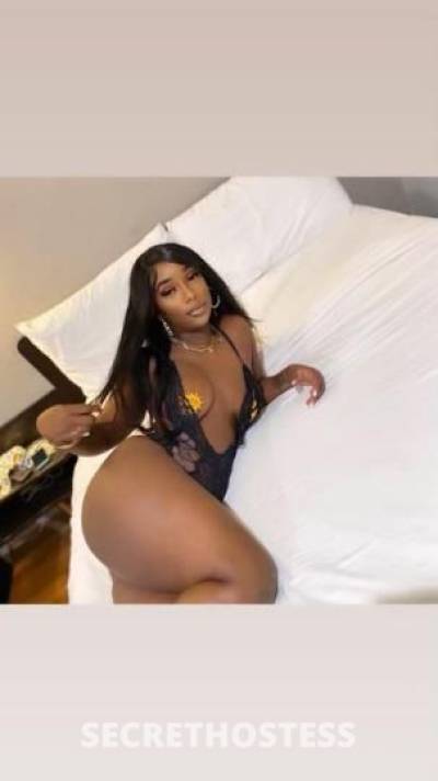 Lexii 23Yrs Old Escort Los Angeles CA Image - 3