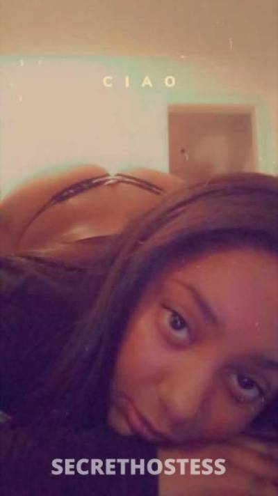 Lillycream 24Yrs Old Escort Toledo OH Image - 5